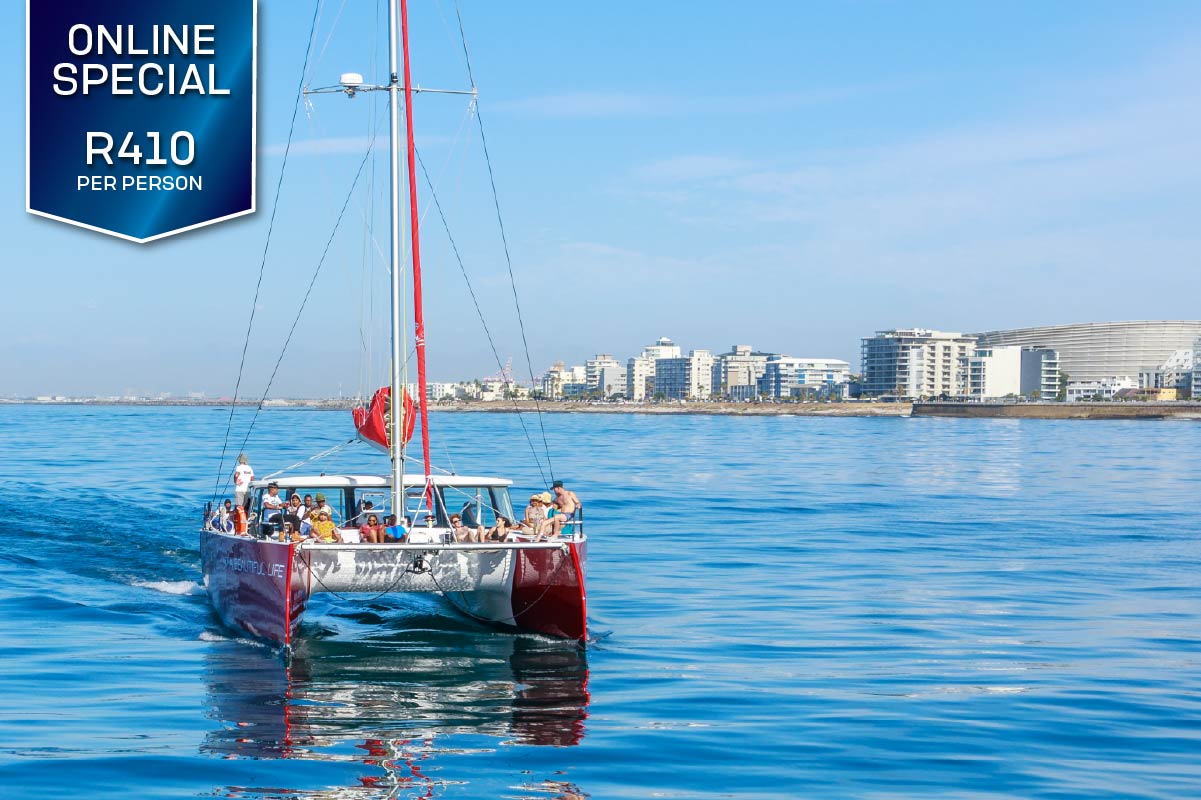 Catamaran Cruise Cape town